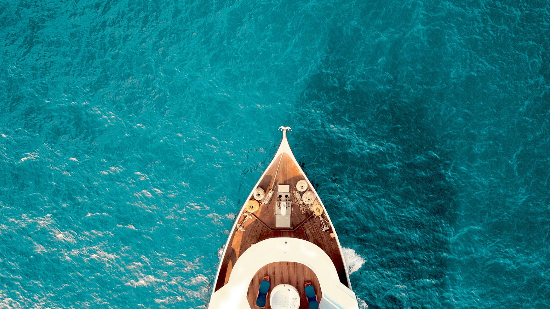 Speedboat tour on turquoise water near the coast