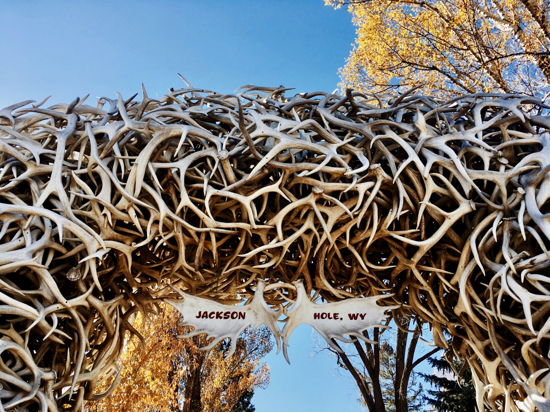 Antler arch in Jackson Hole town square